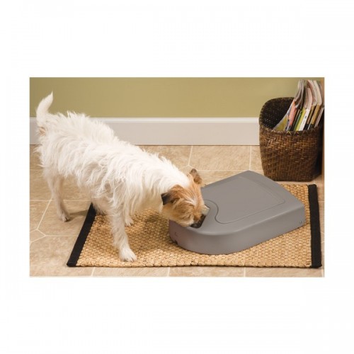 Distributeur de nourriture à minuteur Petsafe (5 repas)