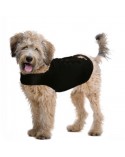 ZenDog gilet anti-stress pour chien