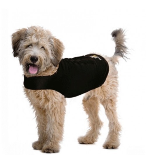 ZenDog gilet anti-stress pour chien
