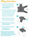 ZenDog gilet anti-stress pour chien