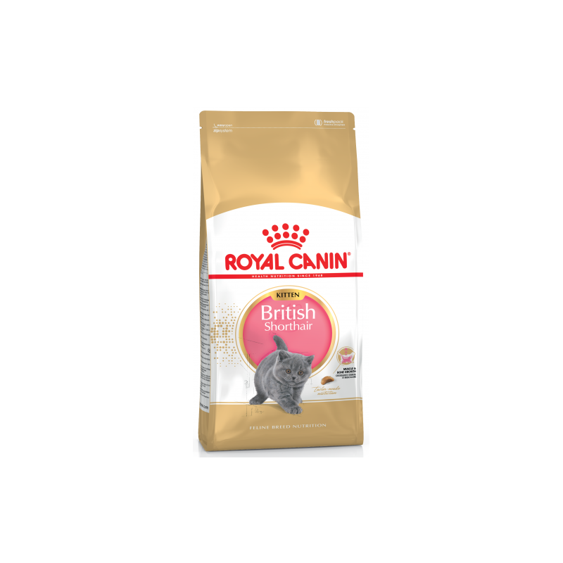 Royal Canin Breed Nutrition Kitten British Shorthair