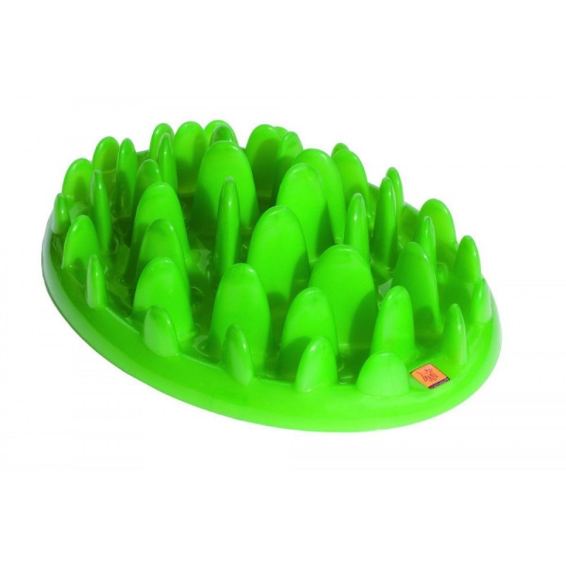 Green Slow Feeder pour chien