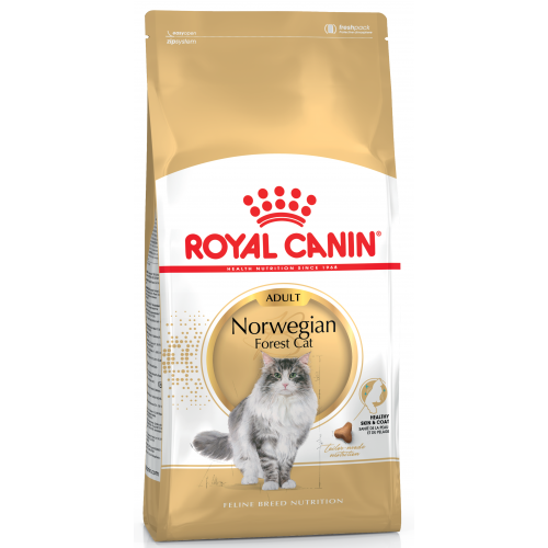 Royal Canin Breed Nutrition Norwegian Forest Cat