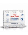 Royal Canin Veterinary Diets Recovery Liquid pour chien et chat