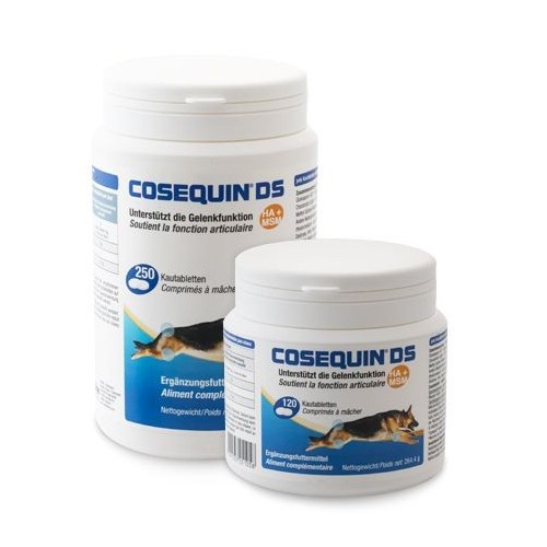 Cosequin DS MSM+HA pour chien