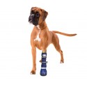 Medical Pet Boot MPS, bottine de protection pour chiens