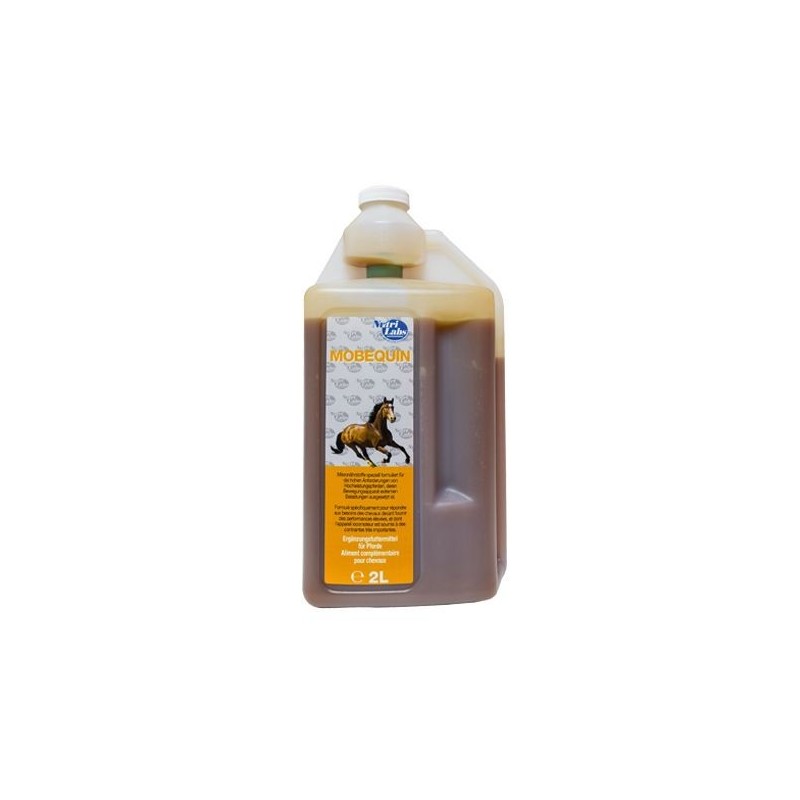 Mobequin pour chevaux