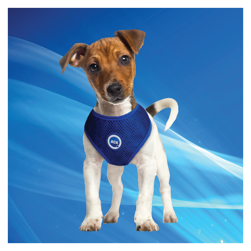 Aqua Coolkeeper bandana rafraîchissant pour chien