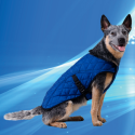 Aqua Coolkeeper bandana rafraîchissant pour chien