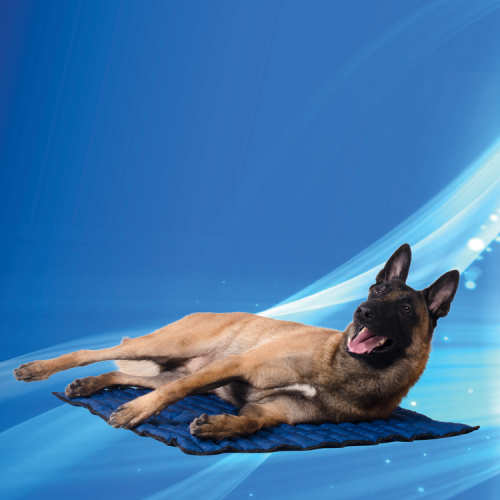 Aqua Coolkeeper natte rafraîchissante pour chien