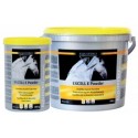 Equistro Excell E poudre pour chevaux