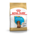 Royal Canin Breed Nutrition Teckel junior