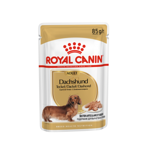 Royal Canin Breed Nutrition Teckel - aliment humide en sachet