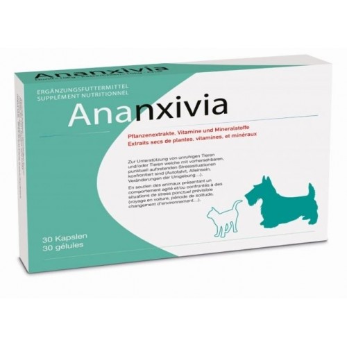 Ananxivia pour chien