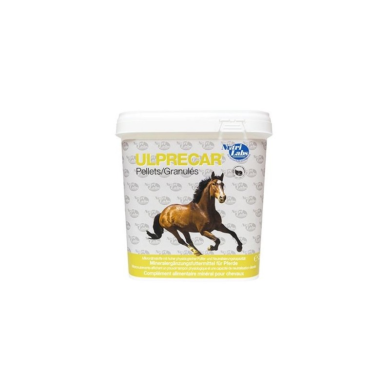 Mobequin pour chevaux