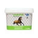 Mobequin pour chevaux