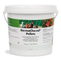 DermaCheval lotion pour chevaux