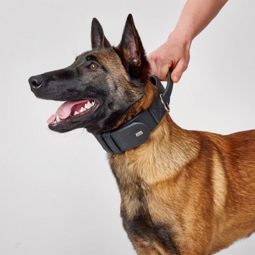 Collier d'entrainement pour chien Hunter Larvik avec poignée