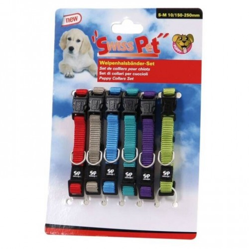 Colliers multicolores pour chiots