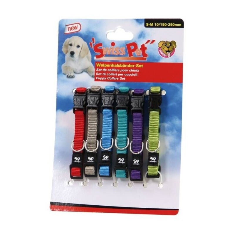 Colliers multicolores pour chiots