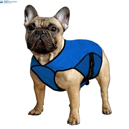 Aqua Coolkeeper JACKET manteau rafraîchissant pour chien