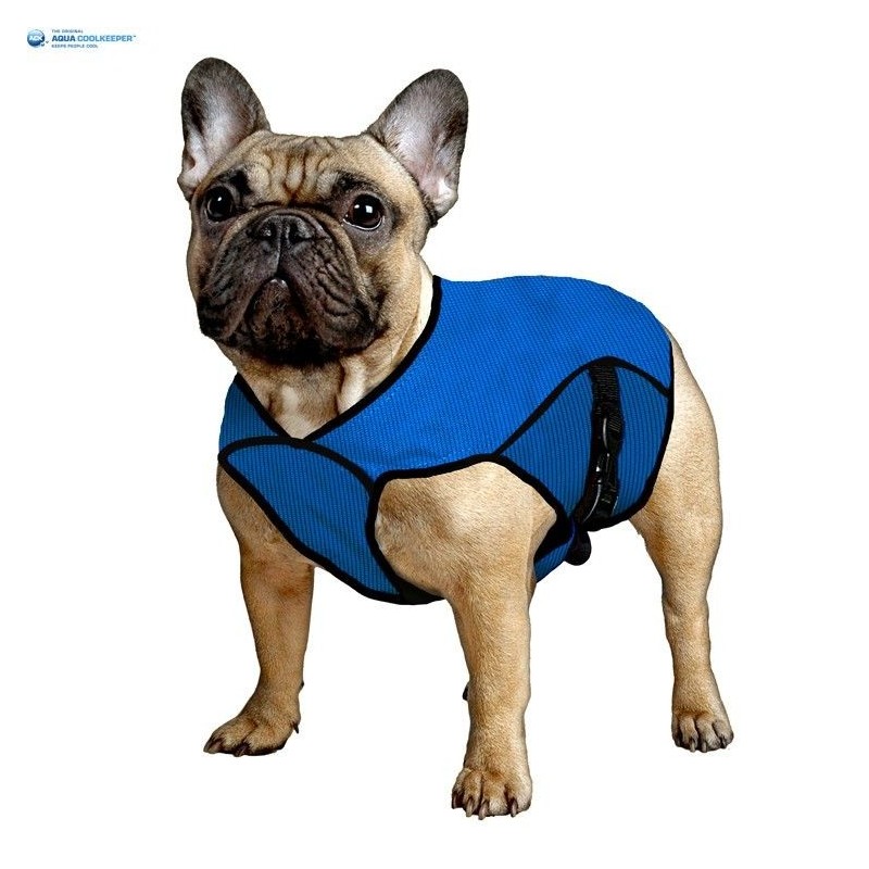 Aqua Coolkeeper bandana rafraîchissant pour chien