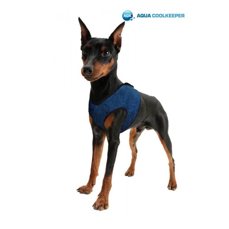 Aqua Coolkeeper harnais rafraîchissant pour chien