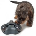 Cat Activity Brain Mover Trixie