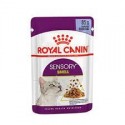 Royal Canin Sensory Smell pour chat - aliment humide en sachet