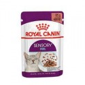 Royal Canin Sensory Smell pour chat - aliment humide en sachet
