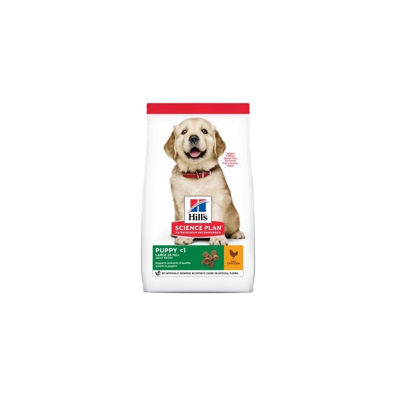 Hill's Science Plan Puppy Healthy Development Large Breed Chicken