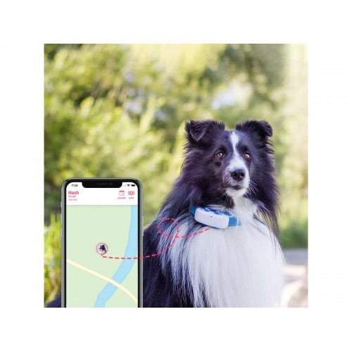 Tractive Traceur GPS pour chien