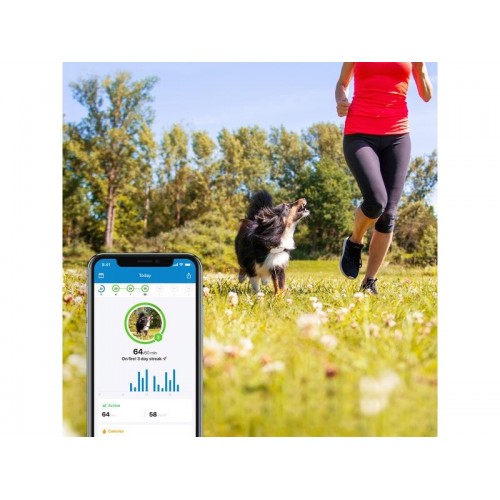 Tractive Traceur GPS pour chien