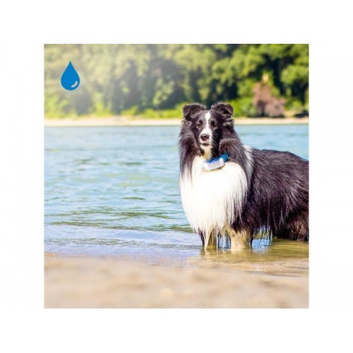 Tractive Traceur GPS pour chien