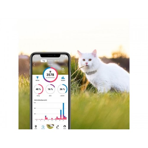 Tractive Traceur GPS pour chats - acheter sur iPet