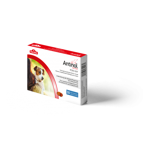 Antinol pour chien 30 capsules
