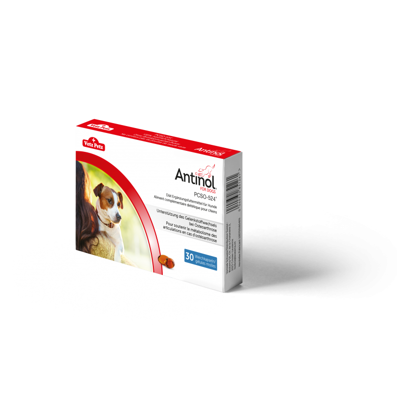 Antinol pour chien Antinol pour chien
