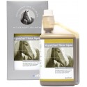 HepatoSan Horse liquid