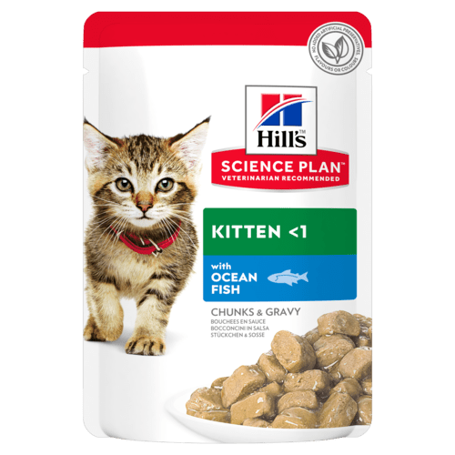 Hill's Science Plan Kitten Tender Chunks in Gravy with Ocean Fish - sachet