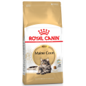 Royal Canin Breed Nutrition Maine Coon