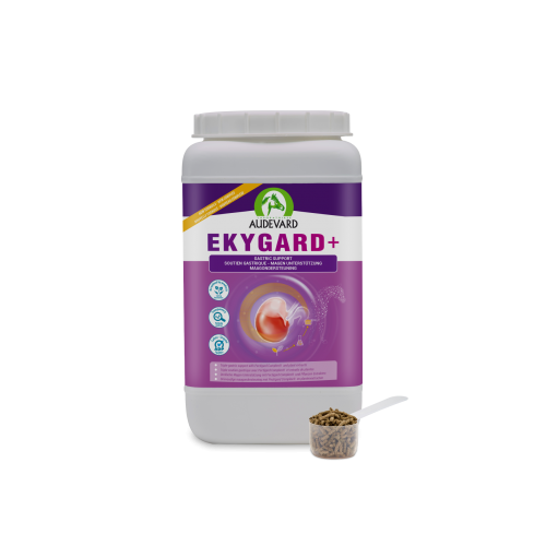 Audevard Ekygard+ pour chevaux 2,4 kg