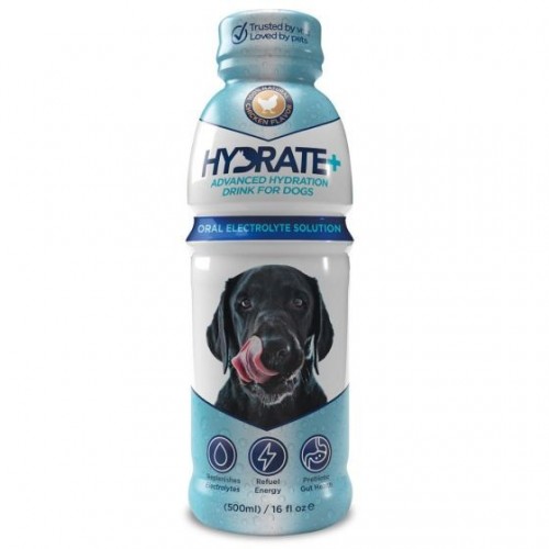 Oralade Hydrate+ pour chien