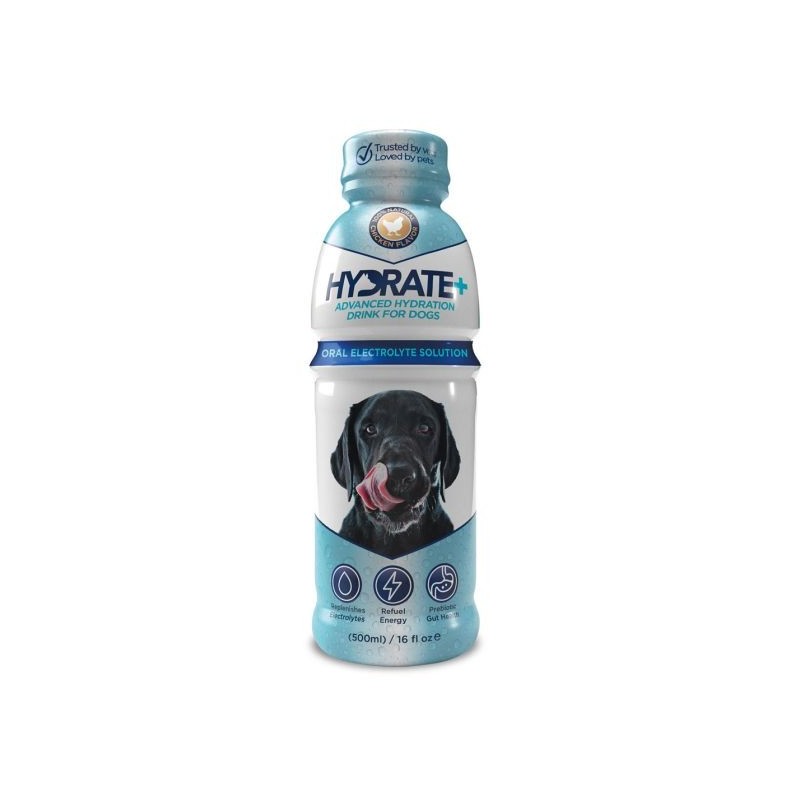 Oralade GI Support pour chien et chat