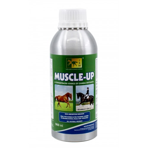 TRM Muscle Up pour chevaux