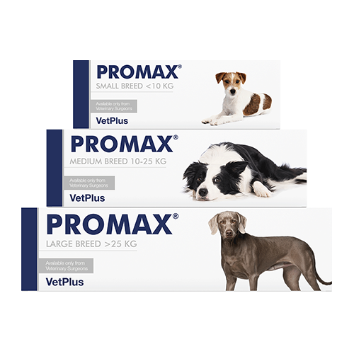 Promax pour chiens