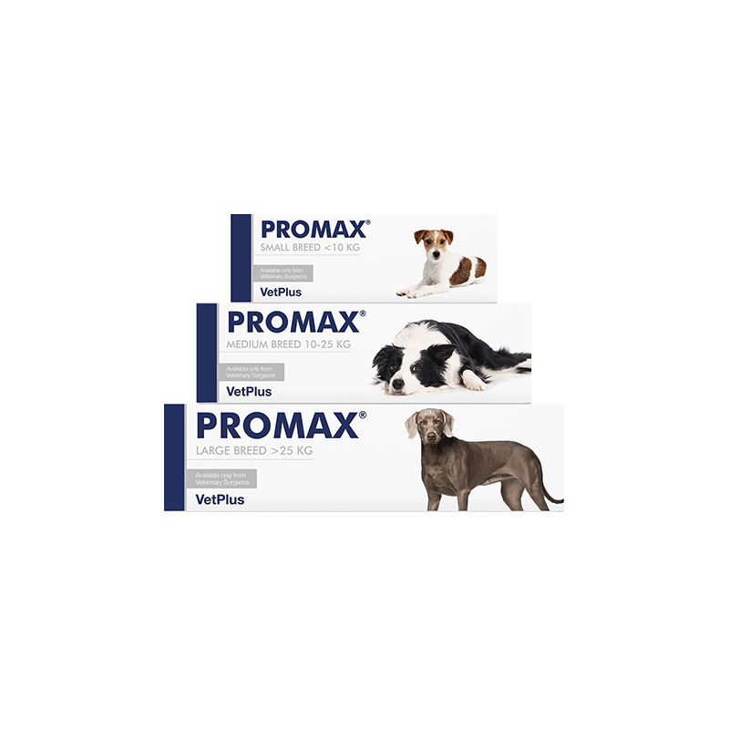 Promax pour chiens