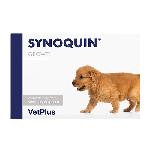 Synoquin Growth pour chien