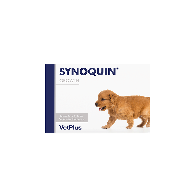 Synoquin Growth pour chien