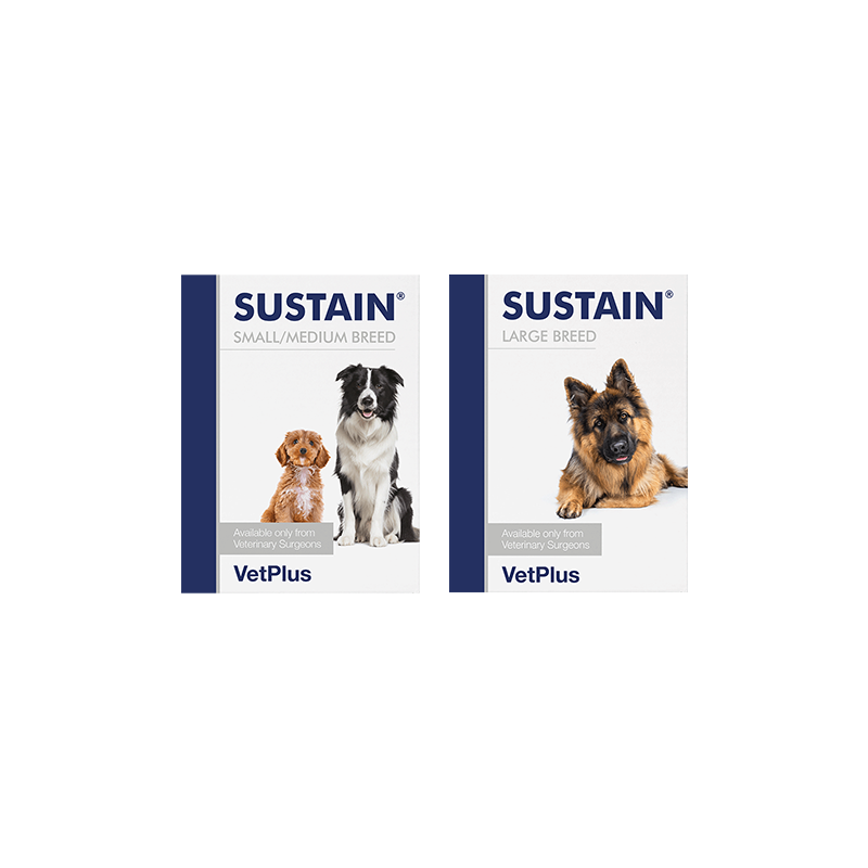 Vetplus Lypex pour chien et char Vetplus Lypex pour chien et char