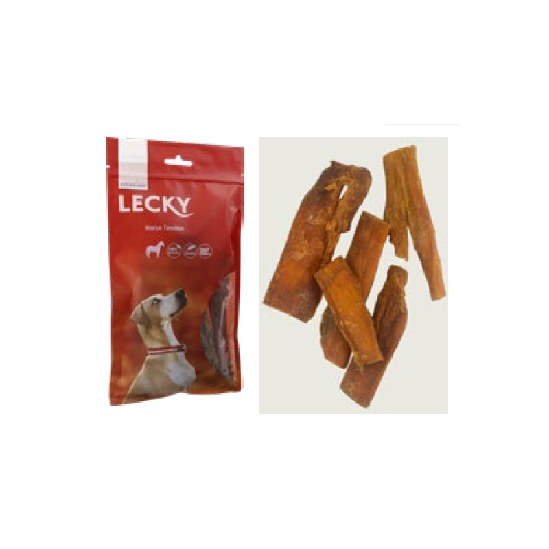 Horse Tendon Horse Tendon